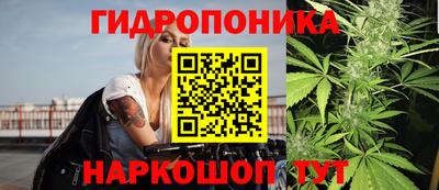 стаф Бузулук